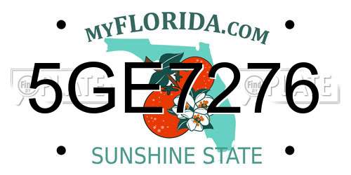 5GE7276 Florida License Plate