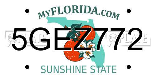 5GEZ772 Florida License Plate