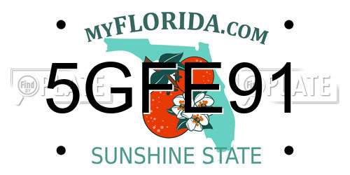 5GFE91 Florida License Plate