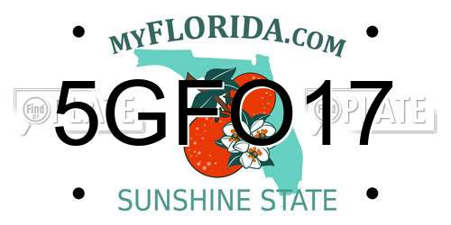 5GFO17 Florida License Plate