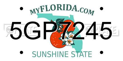 5GP7245 Florida License Plate