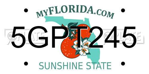 5GPT245 Florida License Plate