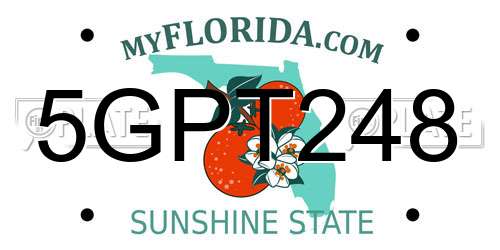 5GPT248 Florida License Plate