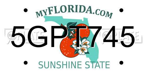 5GPT745 Florida License Plate