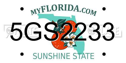 5GS2233 Florida License Plate