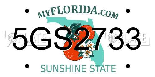 5GS2733 Florida License Plate