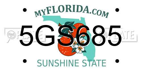 5GS685 Florida License Plate