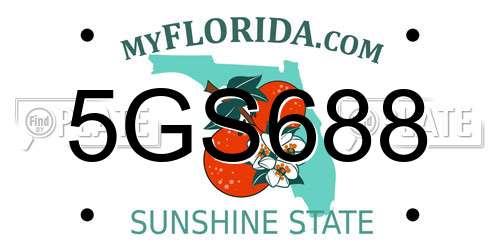 5GS688 Florida License Plate