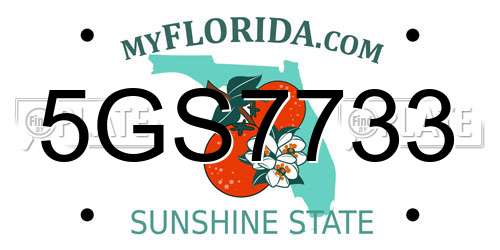 5GS7733 Florida License Plate