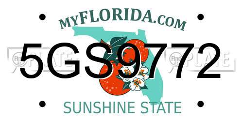 5GS9772 Florida License Plate