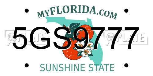 5GS9777 Florida License Plate