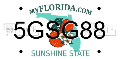 5GSG88 Florida License Plate