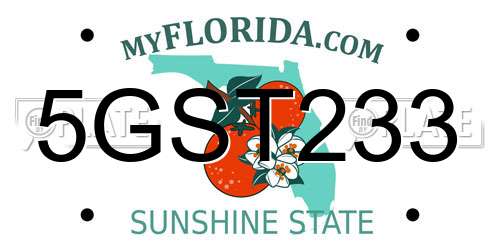 5GST233 Florida License Plate