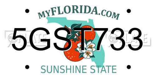 5GST733 Florida License Plate