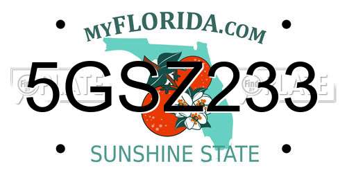 5GSZ233 Florida License Plate