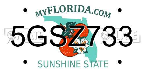 5GSZ733 Florida License Plate