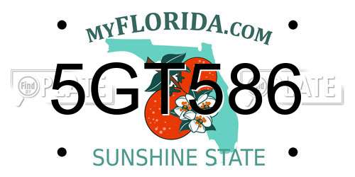5GT586 Florida License Plate