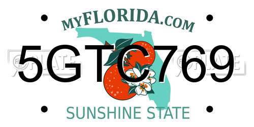 5GTC769 Florida License Plate