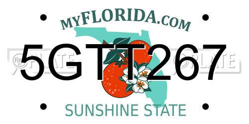 5GTT267 Florida License Plate