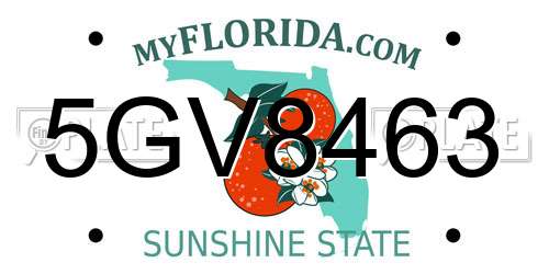 5GV8463 Florida License Plate