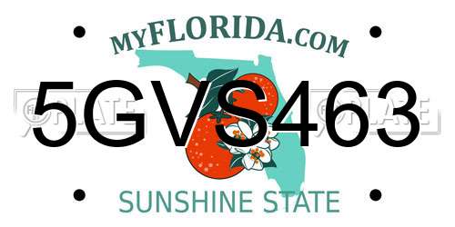 5GVS463 Florida License Plate