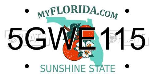 5GWE115 Florida License Plate
