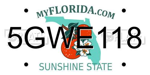 5GWE118 Florida License Plate