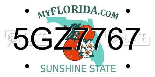 5GZ7767 Florida License Plate