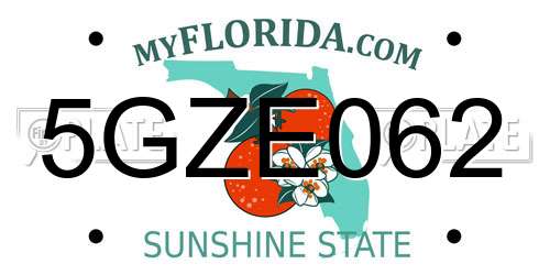 5GZE062 Florida License Plate
