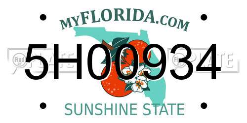 5H00934 Florida License Plate