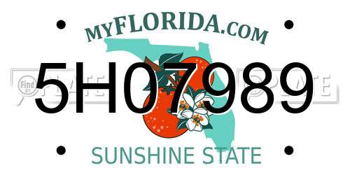 5H07989 Florida License Plate