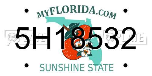 5H18532 Florida License Plate