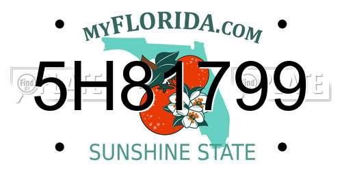 5H81799 Florida License Plate