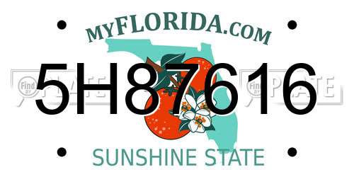 5H87616 Florida License Plate