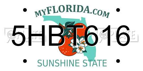 5HBT616 Florida License Plate