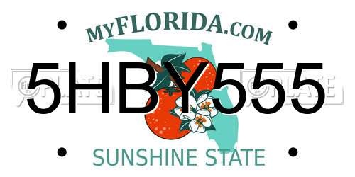 5HBY555 Florida License Plate
