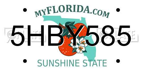 5HBY585 Florida License Plate