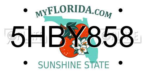 5HBY858 Florida License Plate