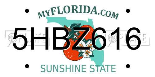 5HBZ616 Florida License Plate