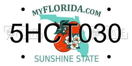 5HCT030 Florida License Plate