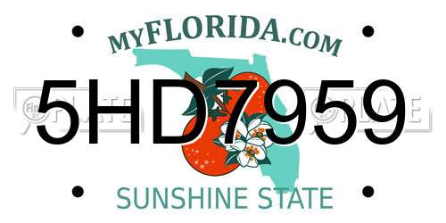 5HD7959 Florida License Plate