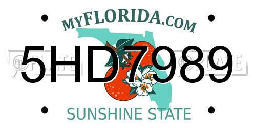 5HD7989 Florida License Plate