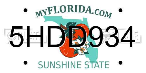 5HDD934 Florida License Plate