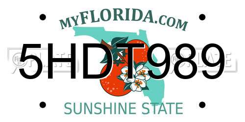 5HDT989 Florida License Plate