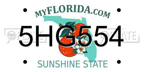5HG554 Florida License Plate