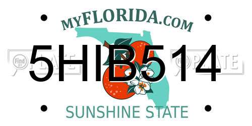 5HIB514 Florida License Plate