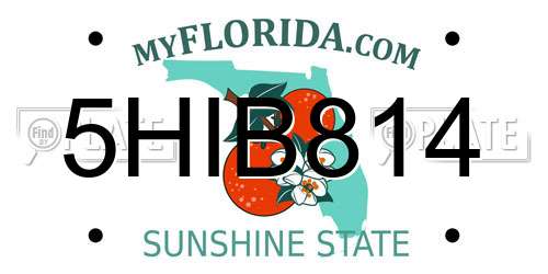 5HIB814 Florida License Plate
