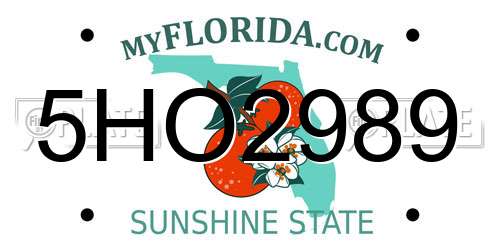 5HO2989 Florida License Plate