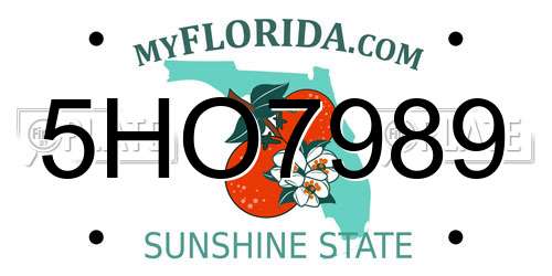 5HO7989 Florida License Plate