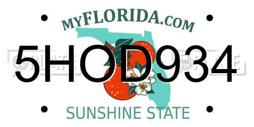 5HOD934 Florida License Plate